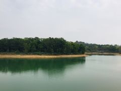 -聚龙山公园