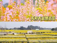-白鹭湾湿地公园