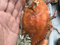 -仙螺岛海鲜自助餐厅(总店)