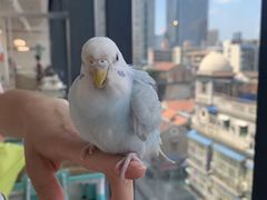 -怪兽屋·羊驼·猫咖·狗咖(俊华广场店)