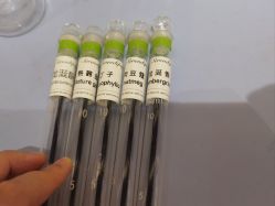 -觅香调香室(南锣鼓巷店)