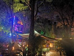 -枫花园汽车电影院(朝阳公园店)