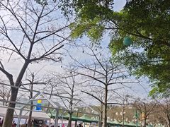 -盈香心动乐园