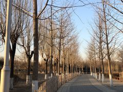 -东升八家郊野公园