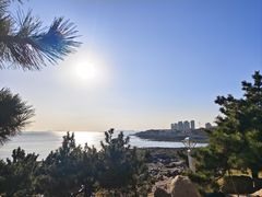 -青岛海景花园大酒店·白果树餐厅青岛菜