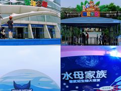 -海合安天津极地海洋公园