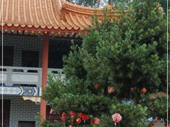 -南宁良凤江国家森林公园