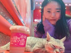 -南澳岛打卡果汁冰公司