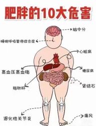 点击看大图 -香薇妮丝女子减肥院