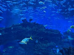 -海合安成都极地海洋公园