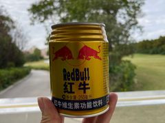 -棕榈滩海景高尔夫俱乐部