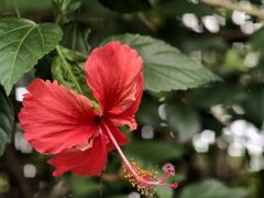 -水濂山森林公园