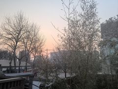 -羊门客在·烤盐池滩羊·川菜