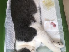 -美迦爱-牙专科·兔科·骨科诊疗中心(北苑店)