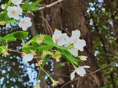-成都大学-图书馆