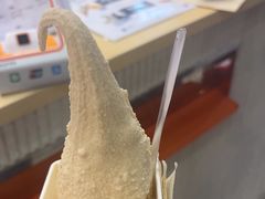-野人先生现做冰淇淋(西安赛格店)