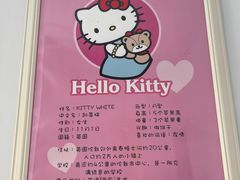 -安吉Hello Kitty乐园
