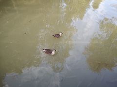 -海珠湖公园