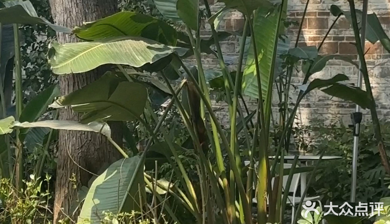 属于小镇咖啡馆的春和景明