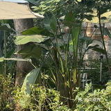 属于小镇咖啡馆的春和景明