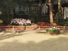 -汇龙潭