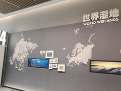 -中国湿地博物馆