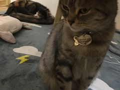 -小时光咖啡馆(开森度假森林店)