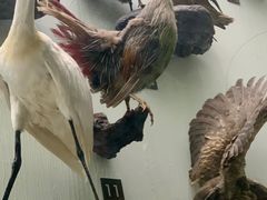 -国家自然博物馆