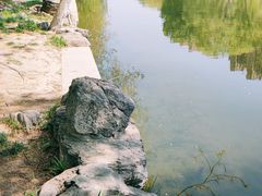 -大望京公园
