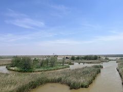 -盐城丹顶鹤湿地生态旅游区