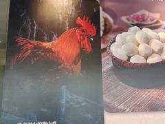 -李子坝梁山鸡(李子坝大鸡哥店)