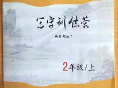 -赵汝飞练字(南京路国际贸易中心校区)