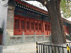 -法兴寺