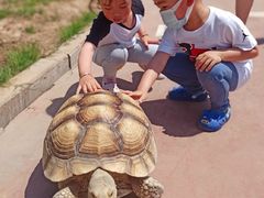 -华夏文旅海洋公园