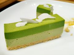 -柴务处·柴犬主题狗咖