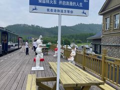 -莫尔道嘎国家森林公园