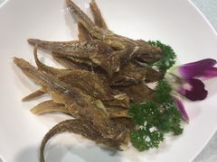 -渔堂公园餐厅·本帮菜(乐园路店)