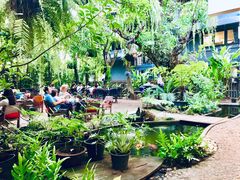 -Fern Forest Cafe