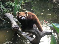 -长鹿旅游休博园