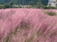 -云漫湖生态度假公园