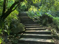 -火炉山森林公园