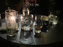 -麥坊俱樂部Maltfun Club