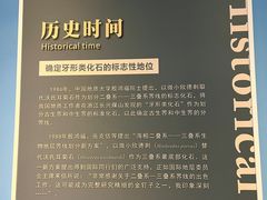 -金钉子远古世界景区
