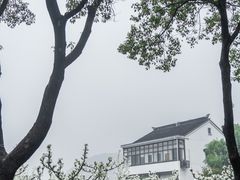-树山生态村
