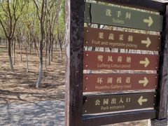 -西青郊野公园