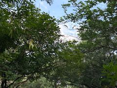-深圳龙潭公园