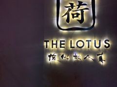 -几荷·恰似故人来(秀水广场店)