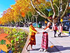 -北山街历史文化街区