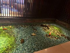 -手佳·水疗汇(嘉益店)