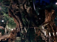 -来宫神社